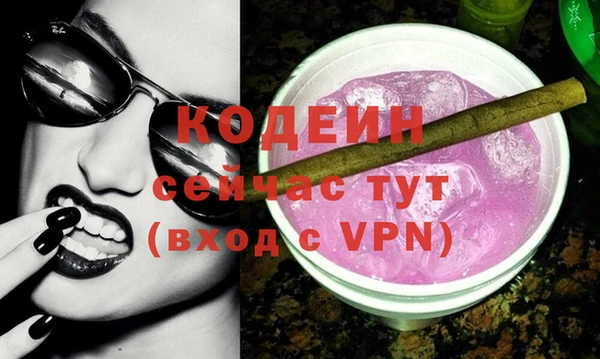 твердый Лагань