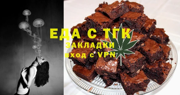 твердый Лагань