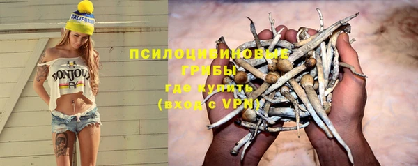 твердый Лагань