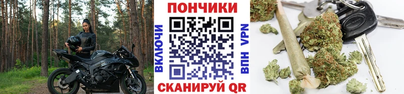 блэк спрут   Хвалынск  Канабис ГИДРОПОН 
